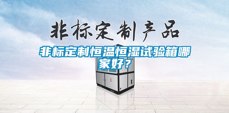 非標(biāo)定制恒溫恒濕試驗(yàn)箱哪家好？