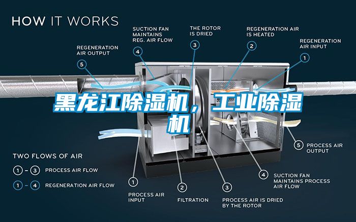 黑龍江除濕機(jī)，工業(yè)除濕機(jī)